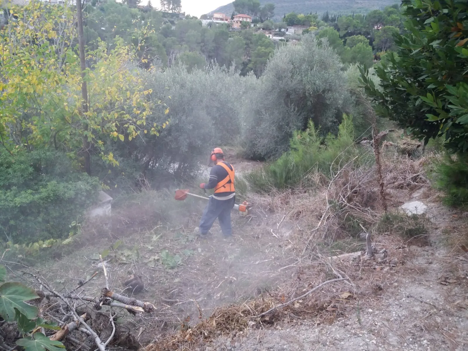 Clearing overgrown plots, photo 2