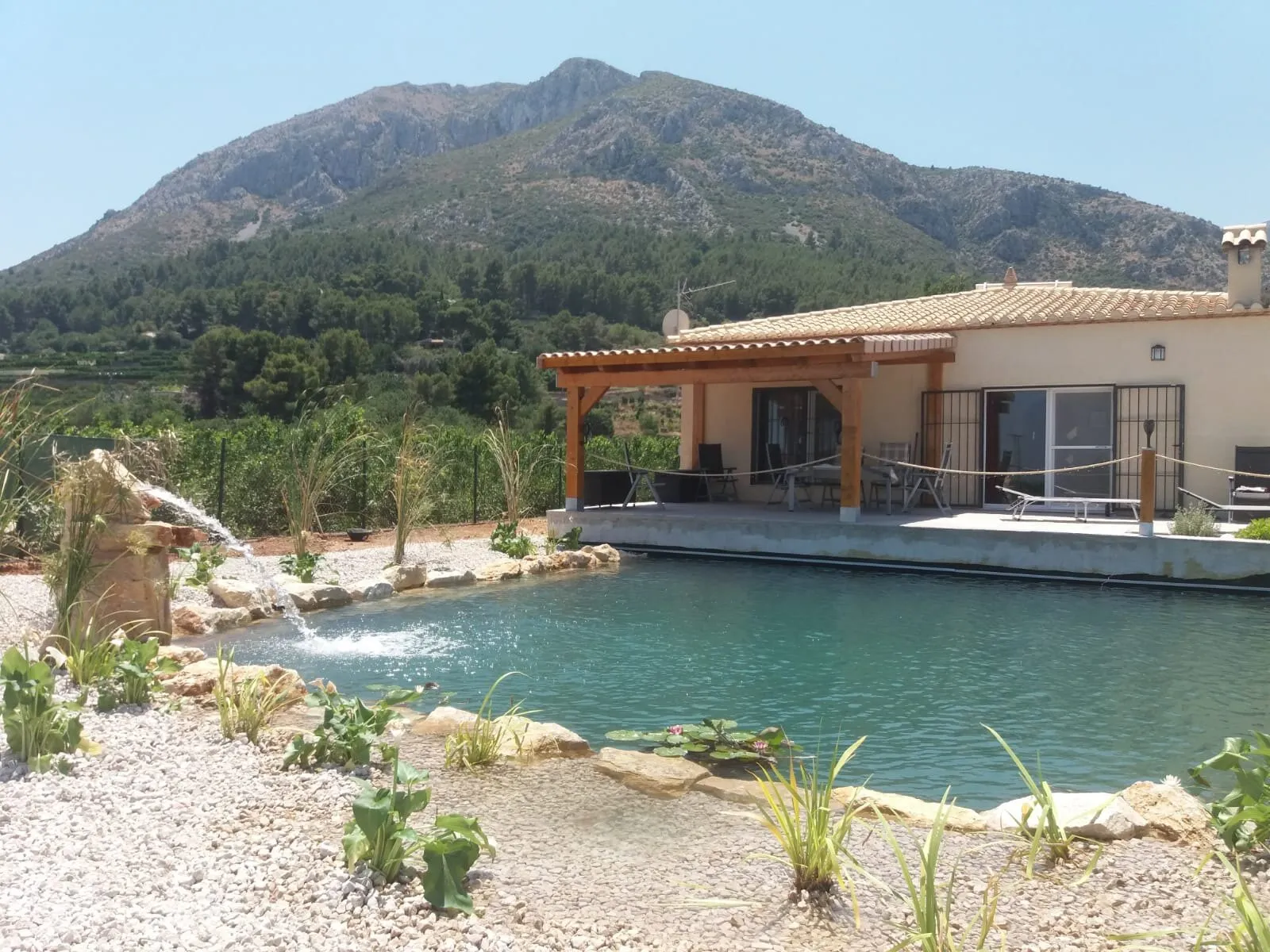 Natural pool in a hillside garden
