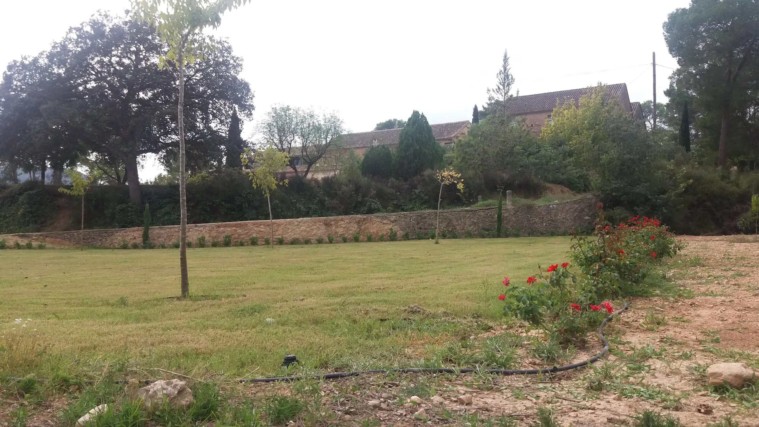 From dry plot to terraced garden, before