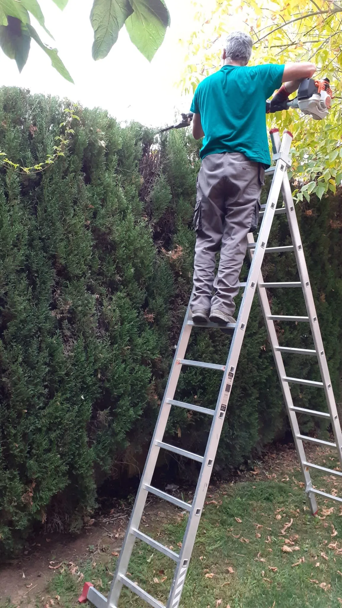 Hedge maintenance for a business