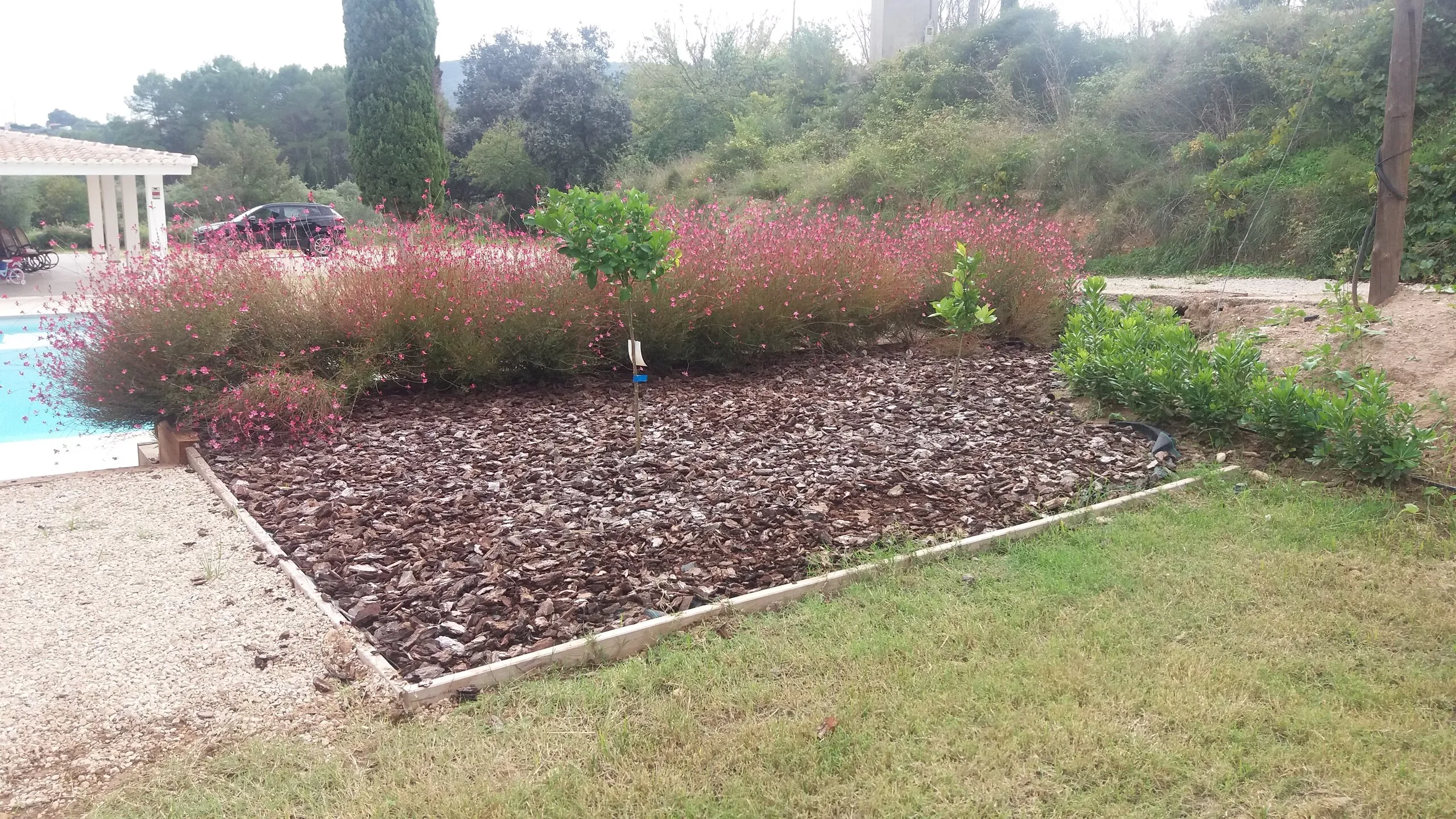 From dry plot to terraced garden, photo 2