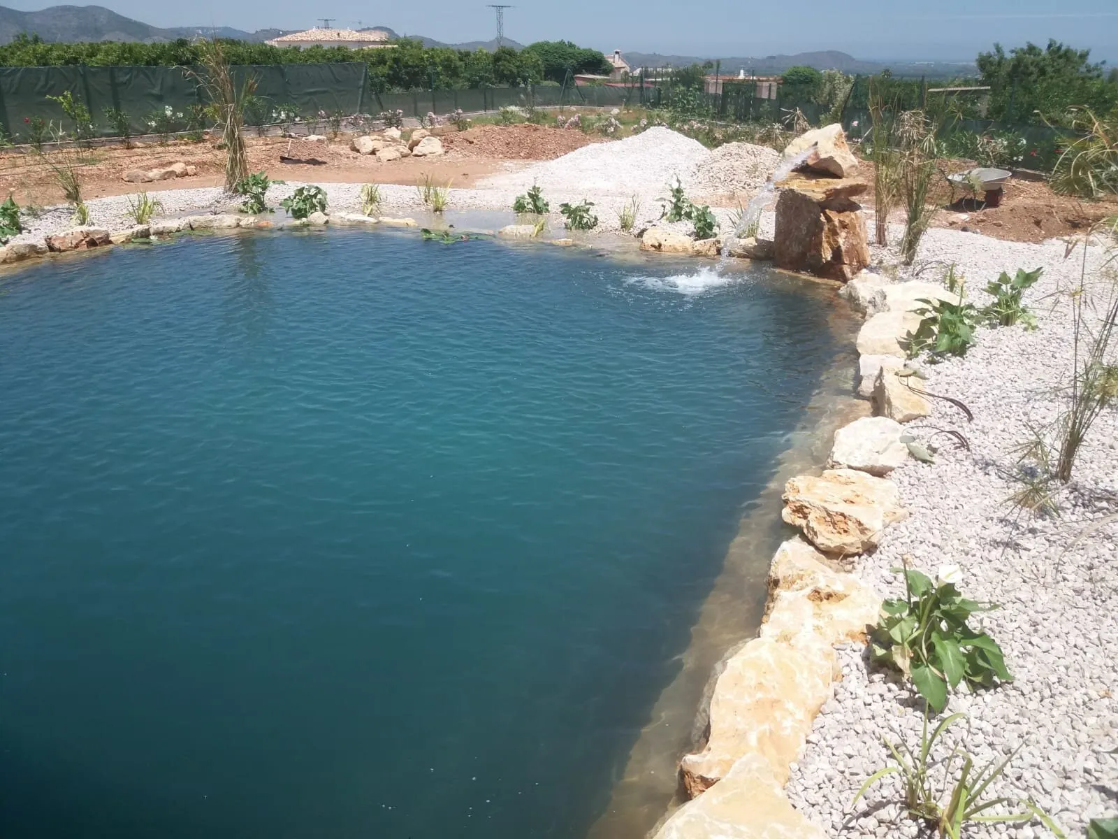 Natural pool in a hillside garden, photo 3