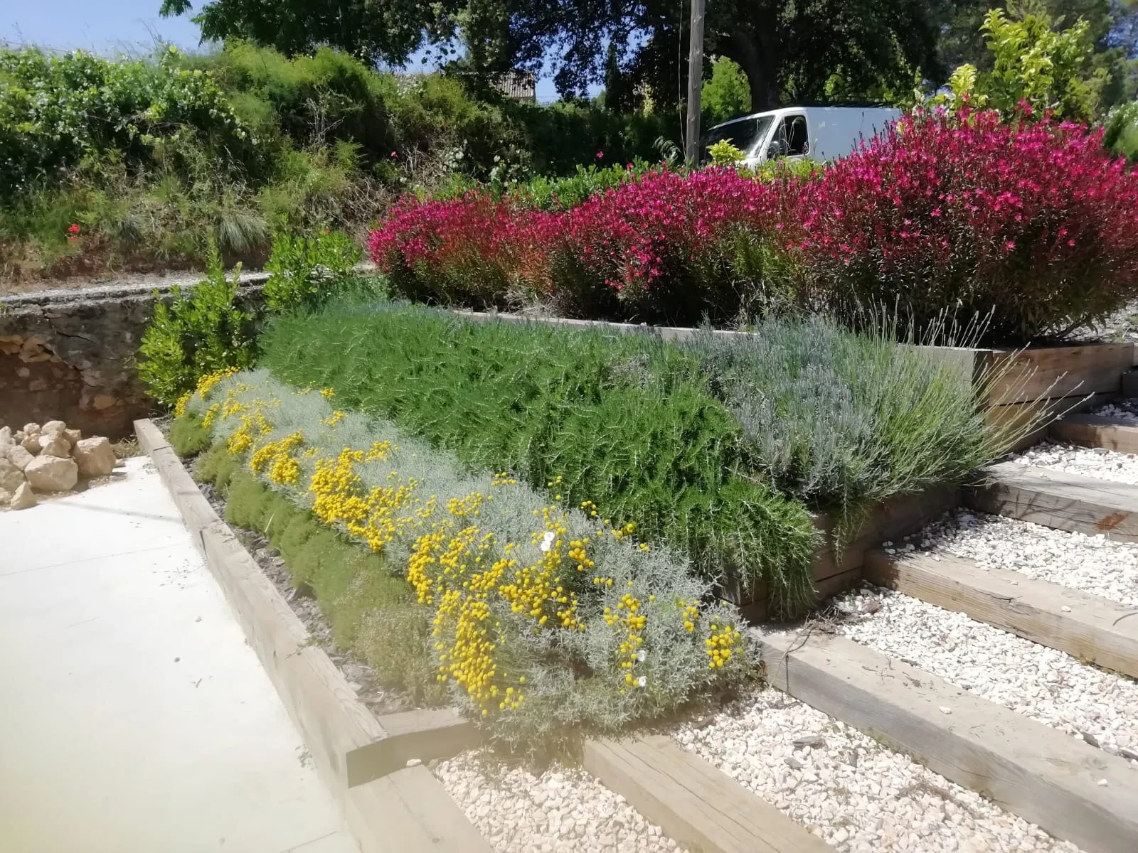 From dry plot to terraced garden, photo 3