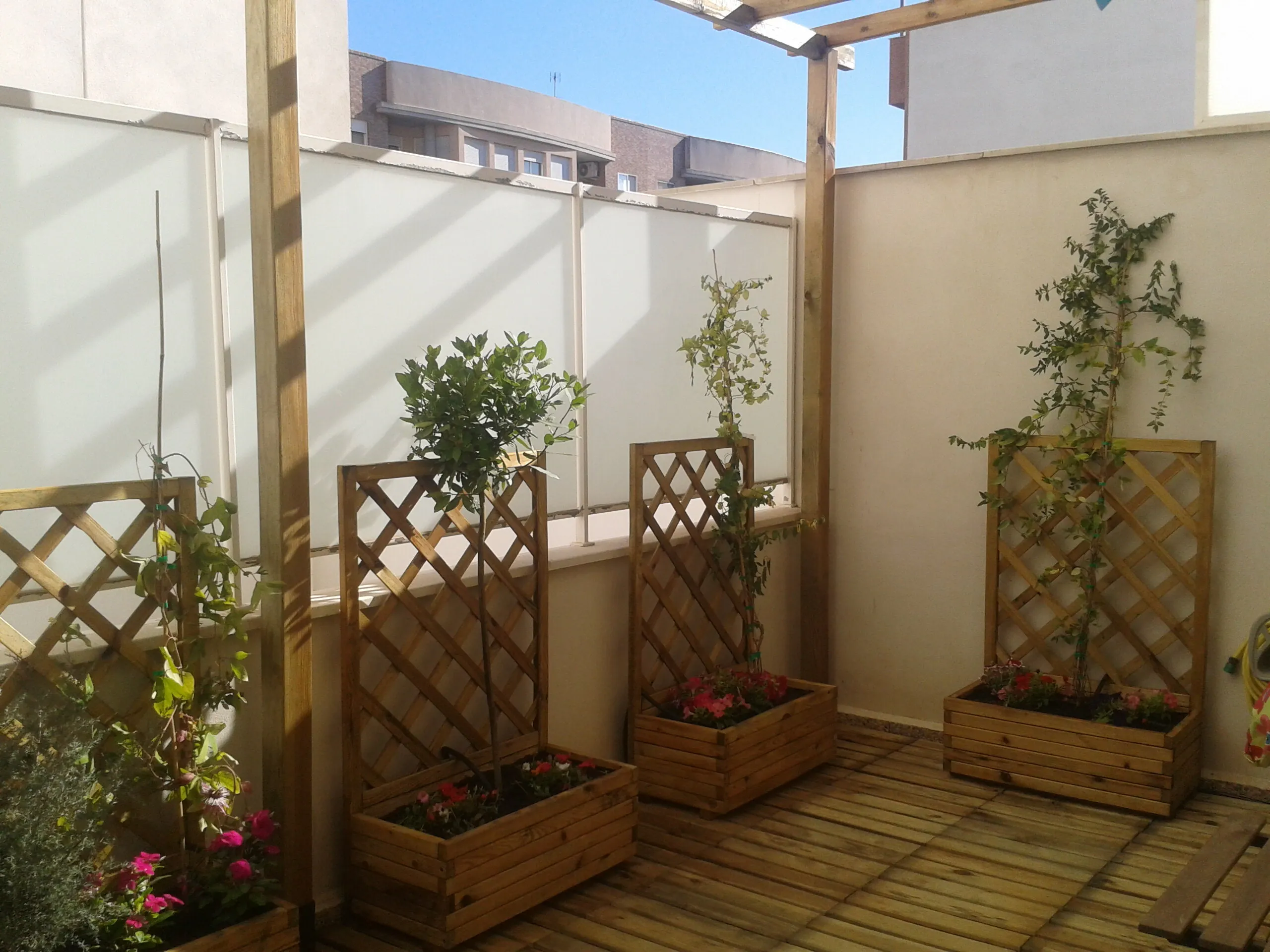 Terraza con pérgola y jardineras, foto 4