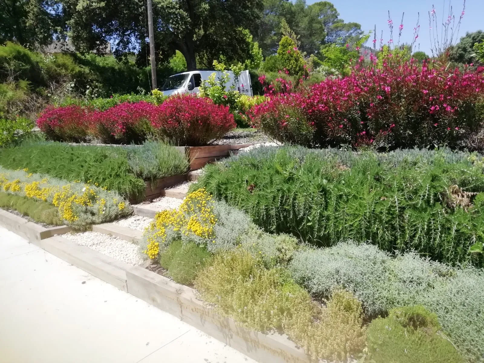 From dry plot to terraced garden