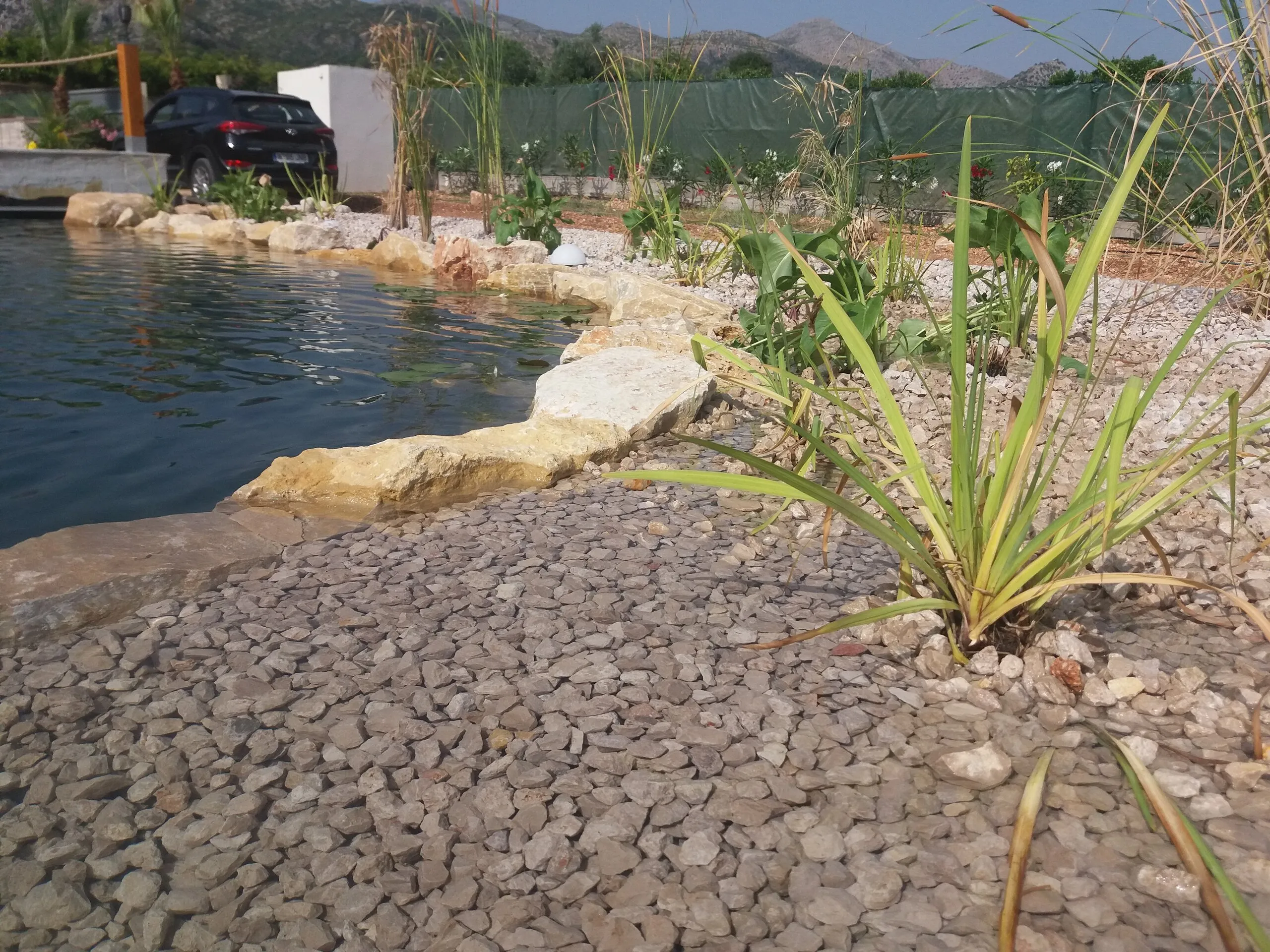 Natural pool in a hillside garden, photo 5