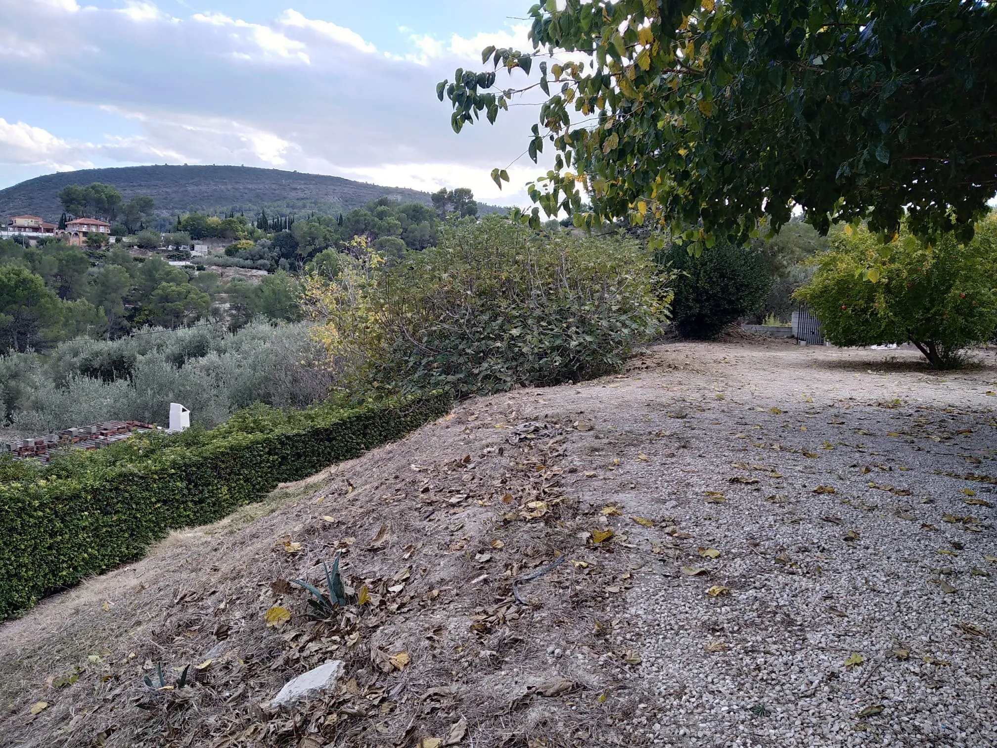 Clearing overgrown plots