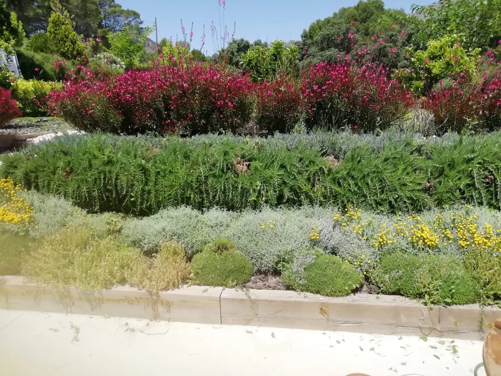 From dry plot to terraced garden, photo 4