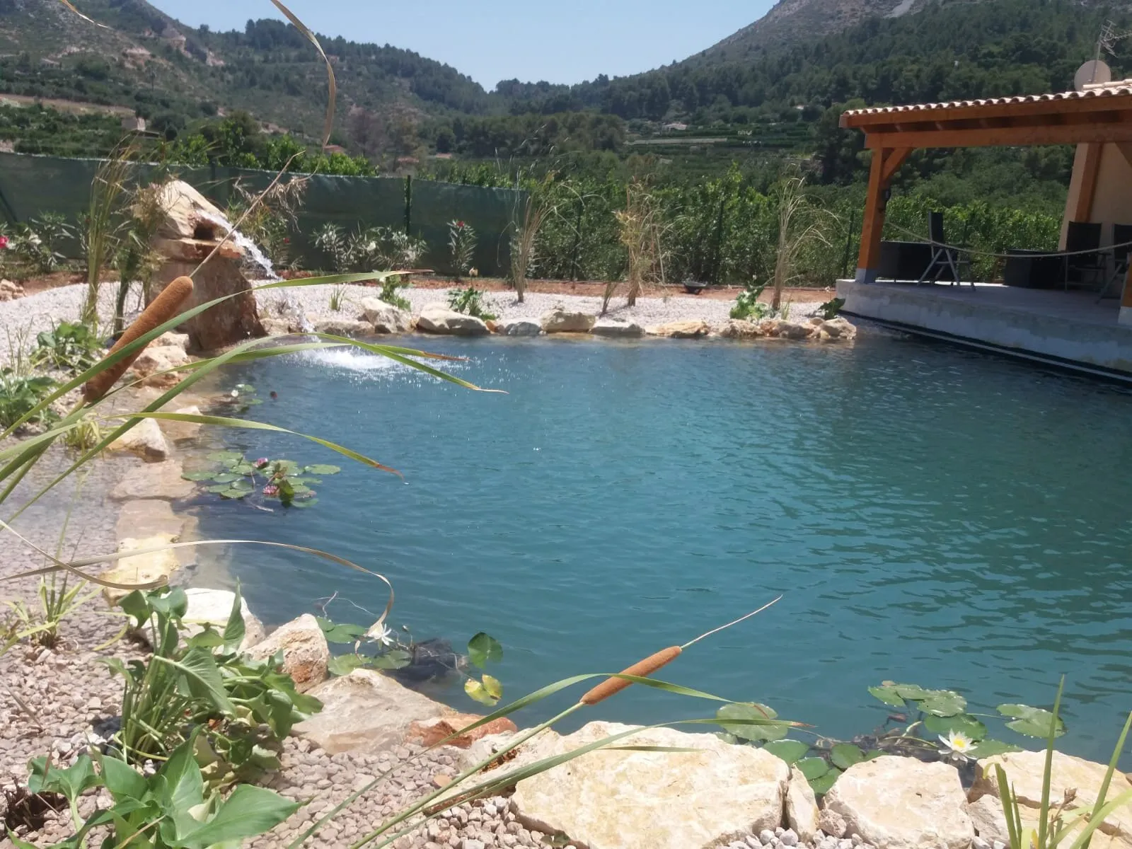 Natural pool in a hillside garden, photo 6