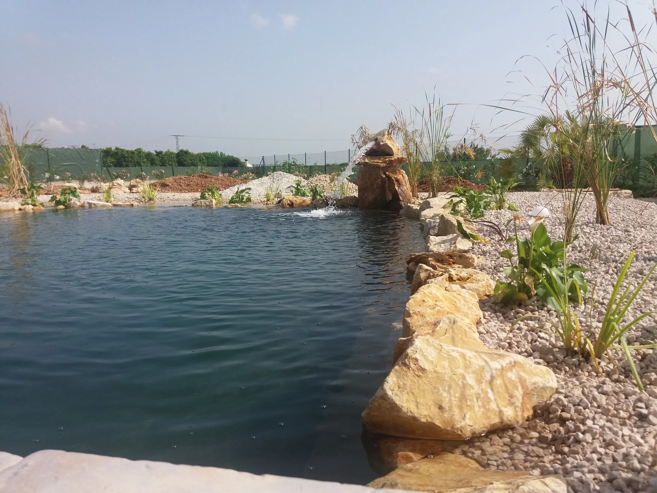 Natural pool in a hillside garden, photo 7