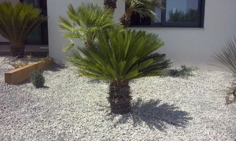 Dry garden and irrigation from scratch