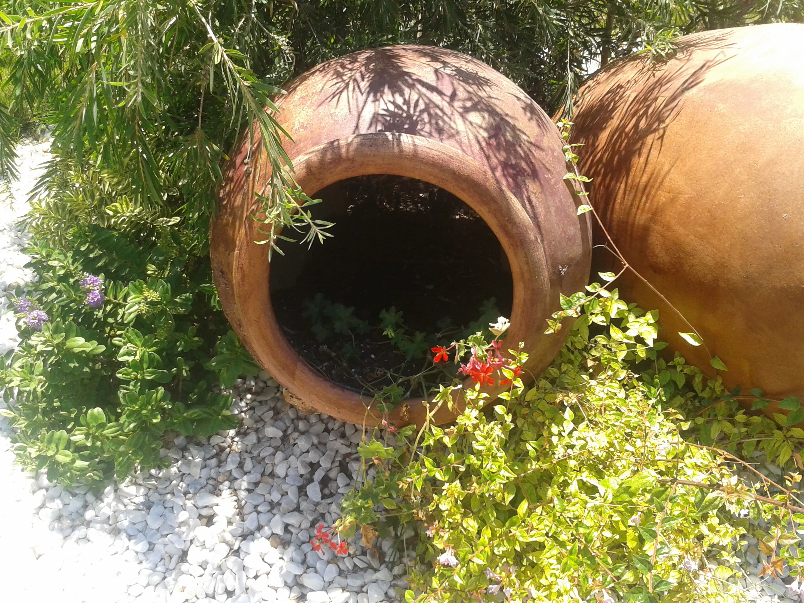 Mediterranean garden with a pool, photo 7