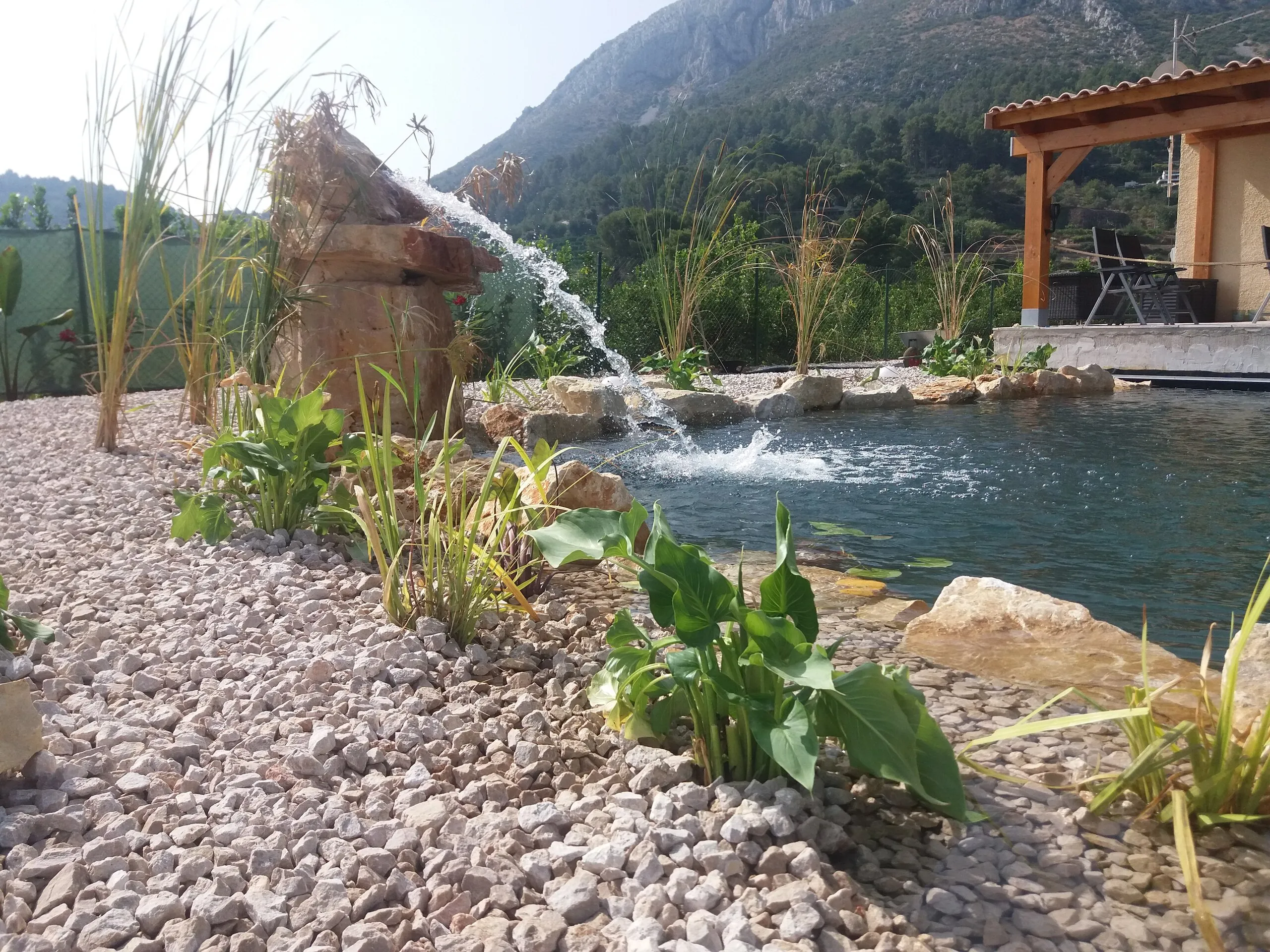 Natural pool in a hillside garden, photo 8