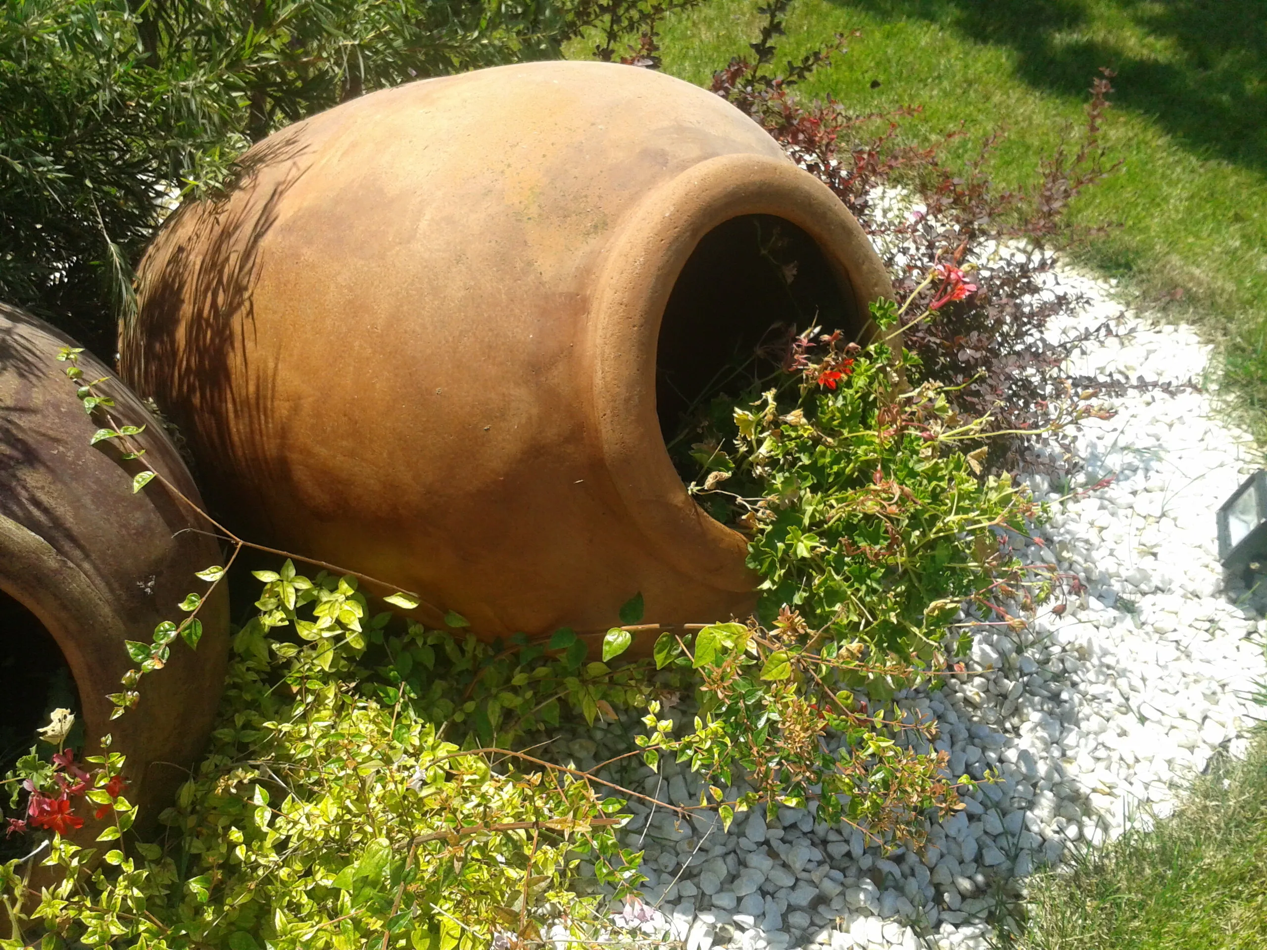 Mediterranean garden with a pool, photo 8