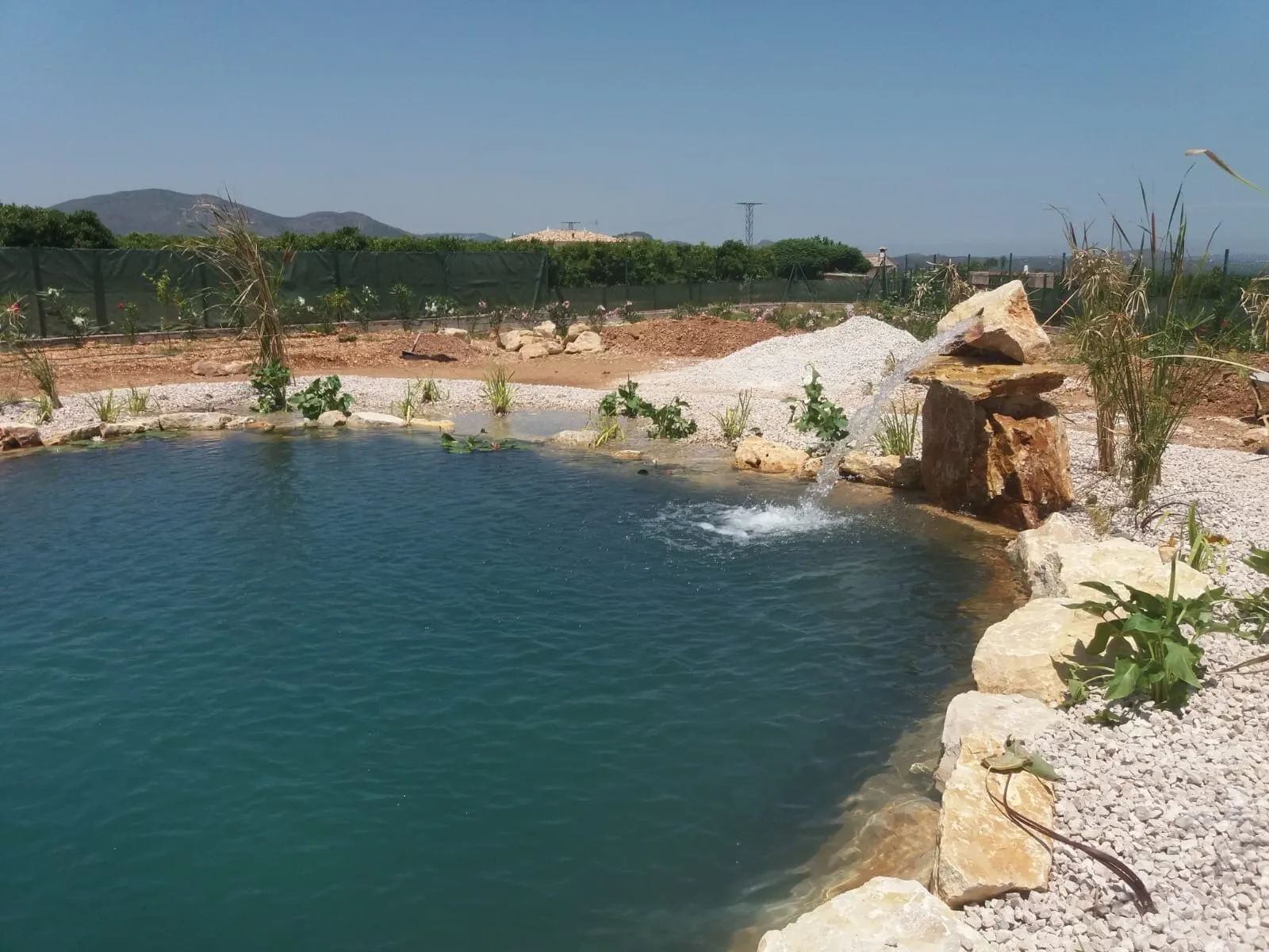 Natural pool in a hillside garden, photo 9