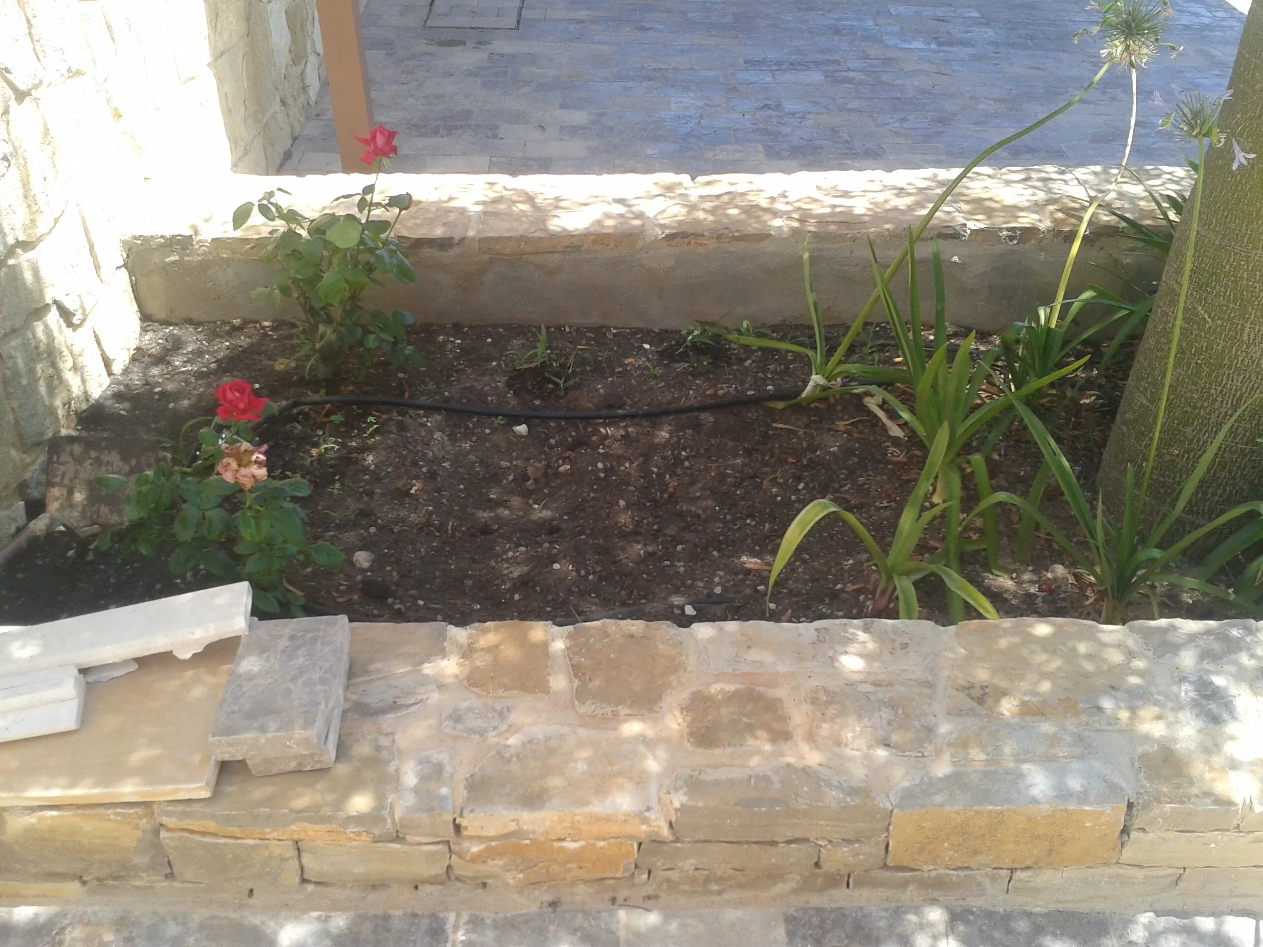 Mediterranean garden with a pool, photo 9