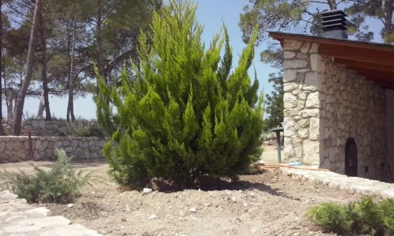 Xerojardín y riego desde cero, foto 10